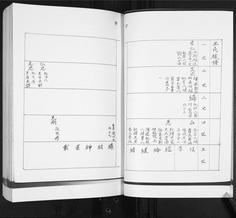 图片[6]-山东青岛即墨栾埠王氏族谱电子版PDF下载-中华家谱网