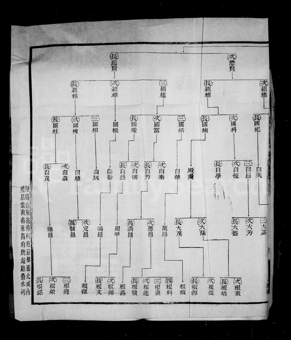 图片[6]-云南保山腾冲叠水河李氏家谱电子版PDF下载-中华家谱网