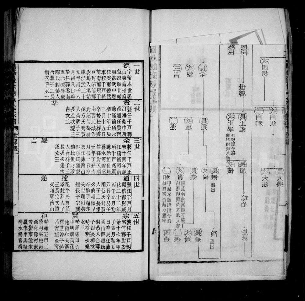 图片[7]-云南保山腾冲叠水河李氏家谱电子版PDF下载-中华家谱网
