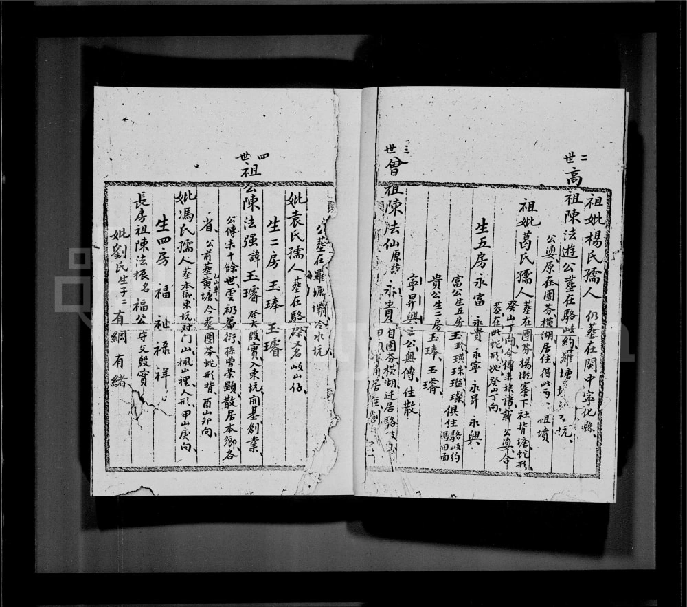 图片[3]-香港鹿颈村陈氏族谱电子版PDF下载-中华家谱网