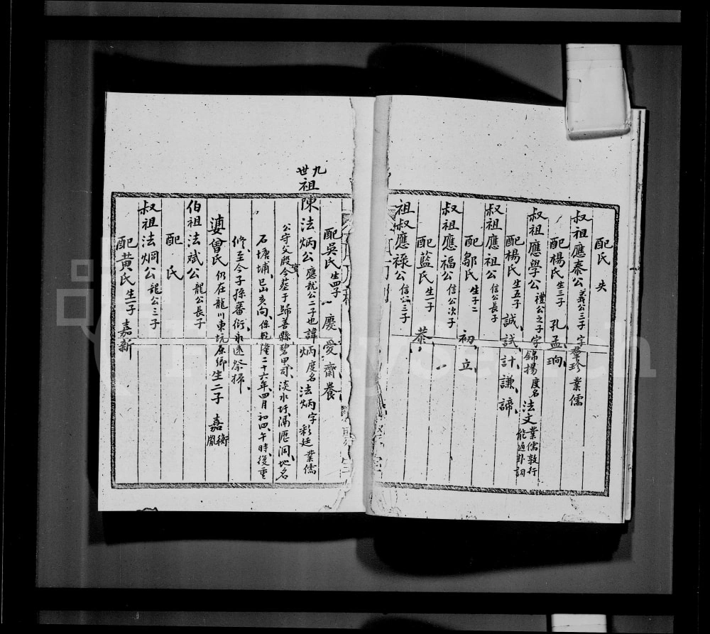 图片[7]-香港鹿颈村陈氏族谱电子版PDF下载-中华家谱网