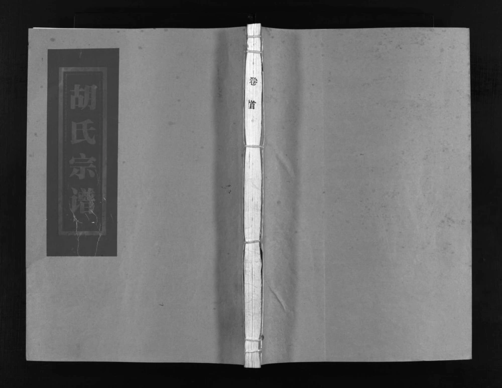 图片[1]-浙江乐清杏庄胡氏宗谱电子版PDF下载-中华家谱网