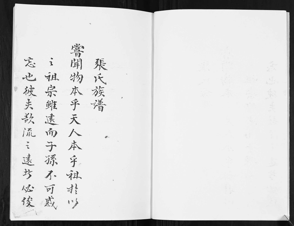 图片[2]-云南昭通镇雄县张氏宗族谱（百忍堂）电子版PDF下载-中华家谱网