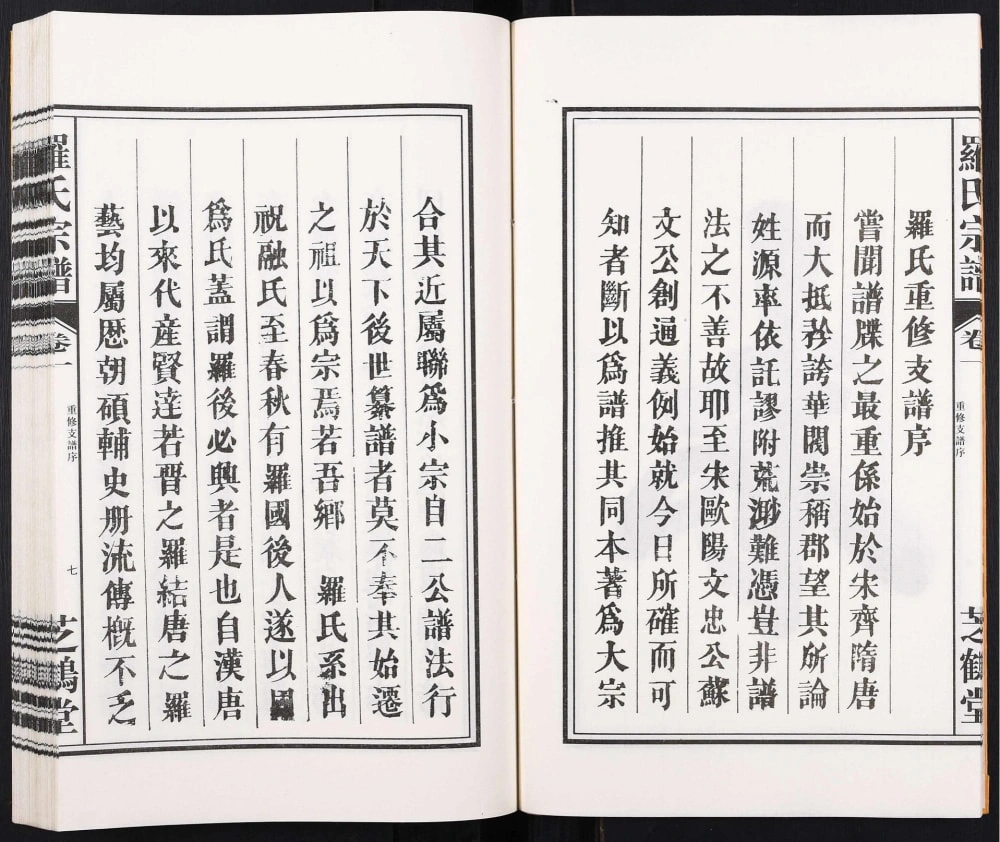 图片[3]-安徽合肥罗氏支谱娘娘庙（芝鹤堂）电子版PDF下载-中华家谱网