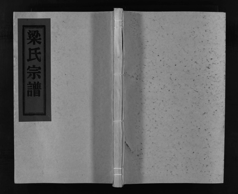 图片[1]-浙江乐清白岩梁氏宗谱电子版PDF下载-中华家谱网