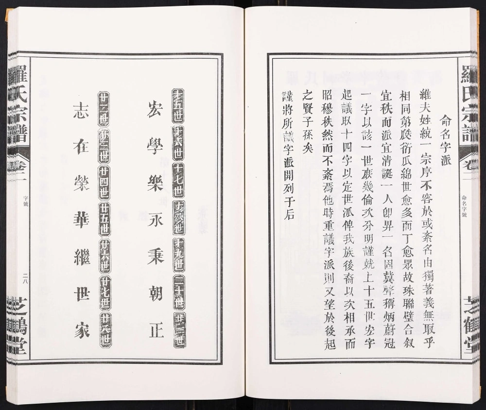 图片[4]-安徽合肥罗氏支谱娘娘庙（芝鹤堂）电子版PDF下载-中华家谱网