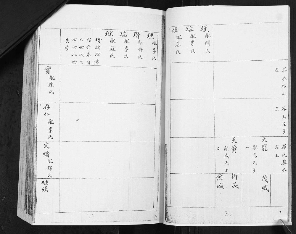 图片[5]-山东青岛即墨鳌山卫何氏族谱长直院支电子版PDF下载-中华家谱网