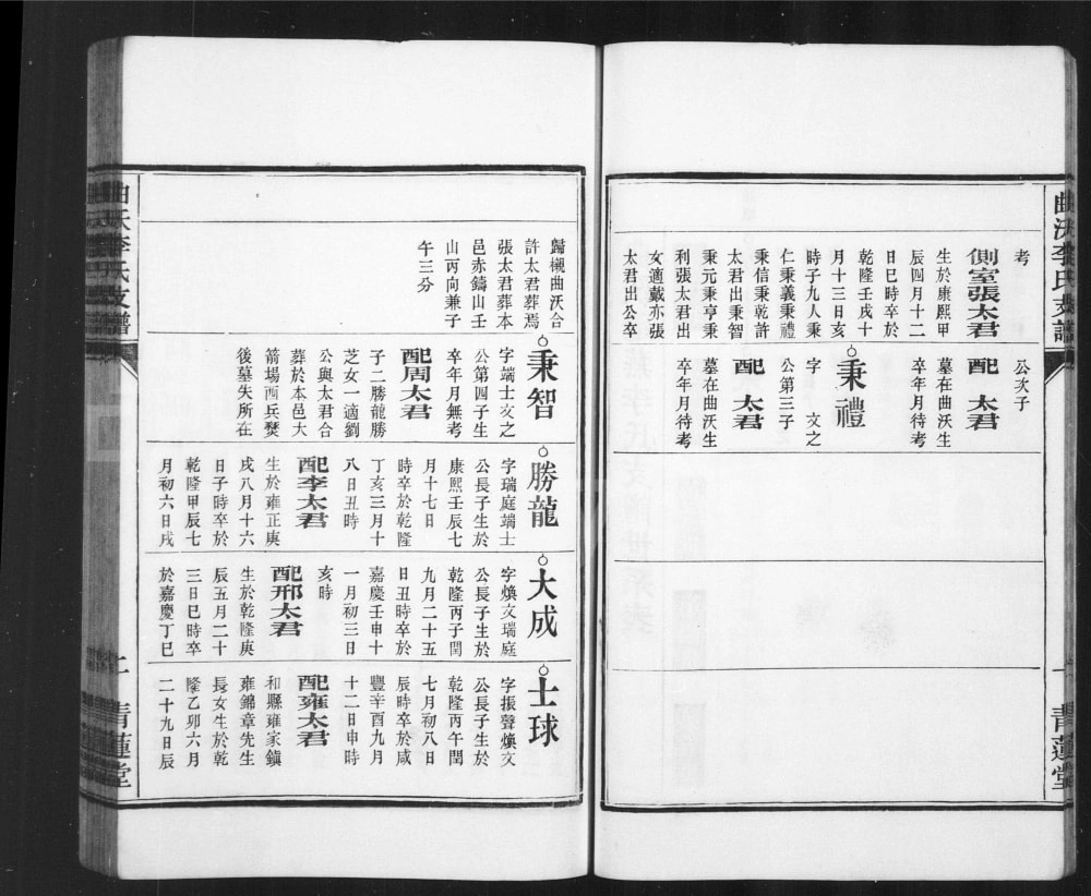 图片[5]-安徽芜湖曲沃李氏迁芜支谱（青莲堂）电子版PDF下载-中华家谱网