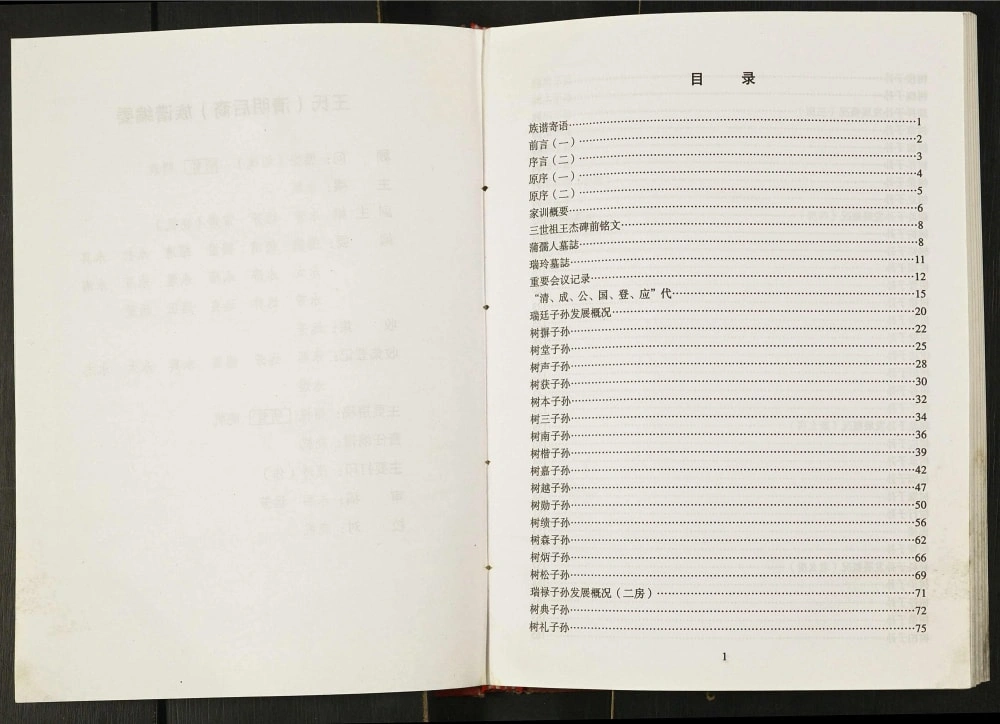 图片[3]-重庆奉节王氏家谱王清明后裔电子版PDF下载-中华家谱网