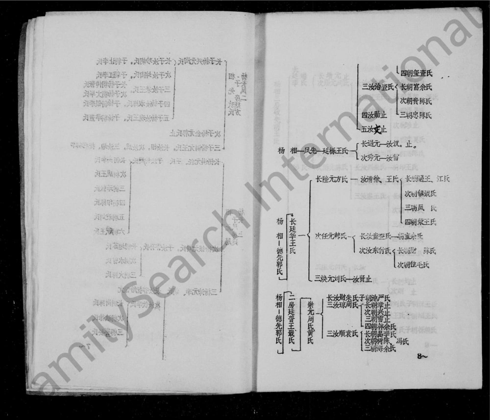 图片[7]-四川资阳杨氏家谱电子版PDF下载-中华家谱网