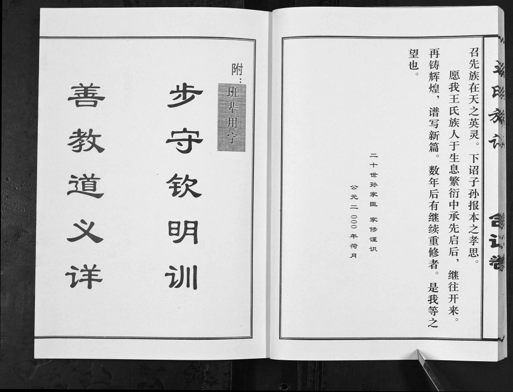 图片[4]-山东济宁微山县王氏族谱电子版PDF下载-中华家谱网