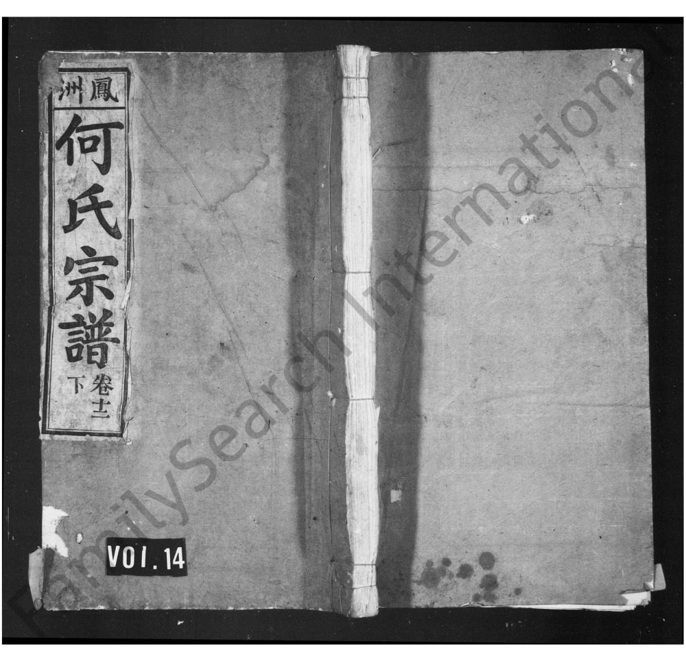 图片[1]-安徽芜湖南陵县凤洲何氏宗谱电子版PDF下载-中华家谱网