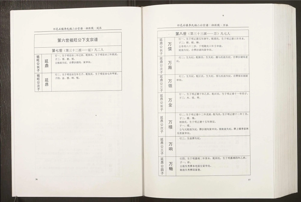 图片[6]-安徽安庆怀宁李氏大成宗谱（敦睦堂）电子版PDF下载-中华家谱网