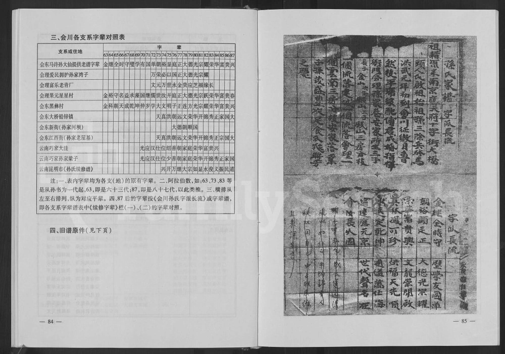 图片[8]-四川会理会川孙氏族谱（乐安堂）电子版PDF下载-中华家谱网