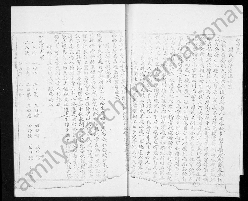 图片[3]-四川阆中罗氏族谱电子版PDF下载-中华家谱网