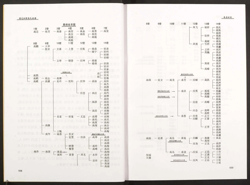 图片[7]-湖南常德澧县澧州四修高氏族谱（渤海堂）电子版PDF下载-中华家谱网