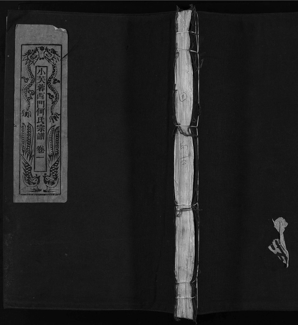 图片[1]-浙江乐清小芙蓉何氏宗谱电子版PDF下载-中华家谱网