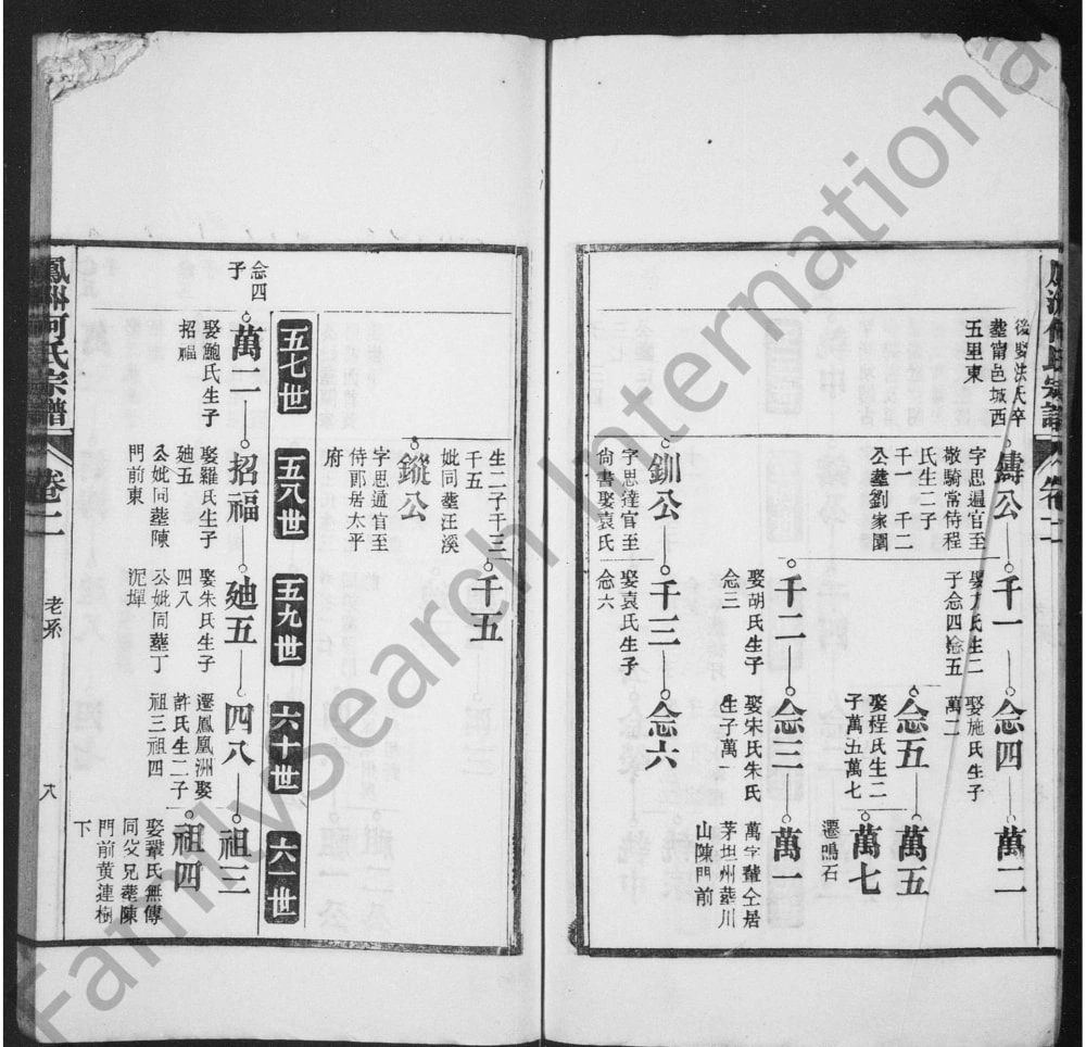 图片[5]-安徽芜湖南陵县凤洲何氏宗谱电子版PDF下载-中华家谱网