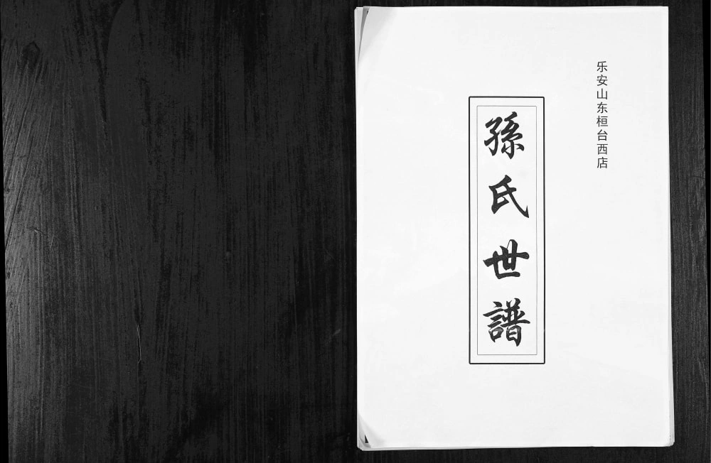 图片[1]-乐安山东桓台西店孙氏世谱电子版PDF下载-中华家谱网