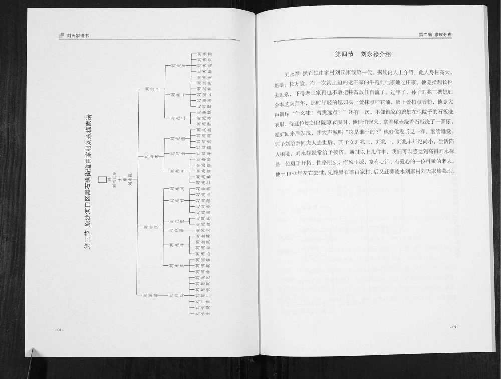 图片[7]-辽宁大连刘氏家谱电子版PDF下载-中华家谱网