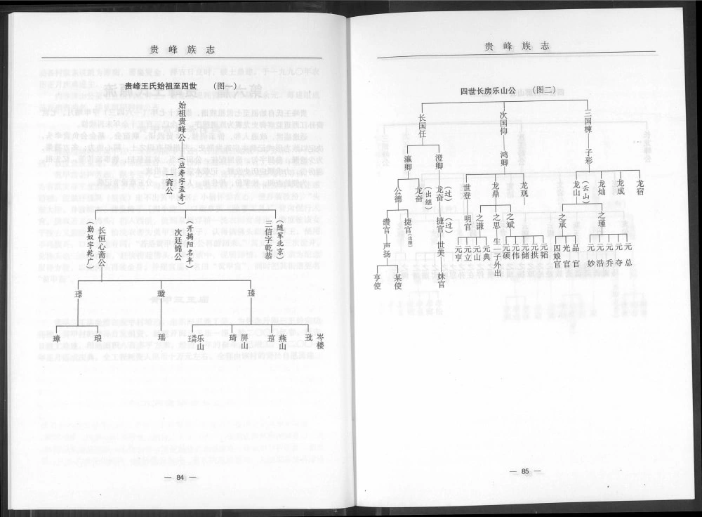 图片[4]-福建南安贵峰王氏族志电子版PDF下载-中华家谱网