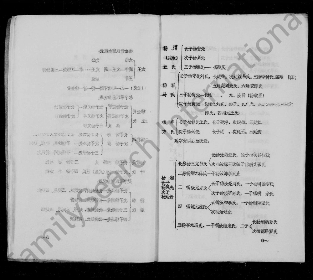 图片[5]-四川资阳杨氏家谱电子版PDF下载-中华家谱网