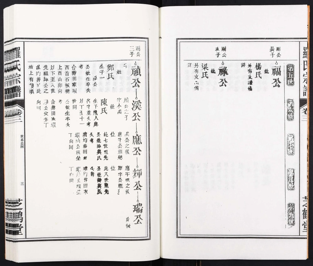 图片[8]-安徽合肥罗氏支谱娘娘庙（芝鹤堂）电子版PDF下载-中华家谱网