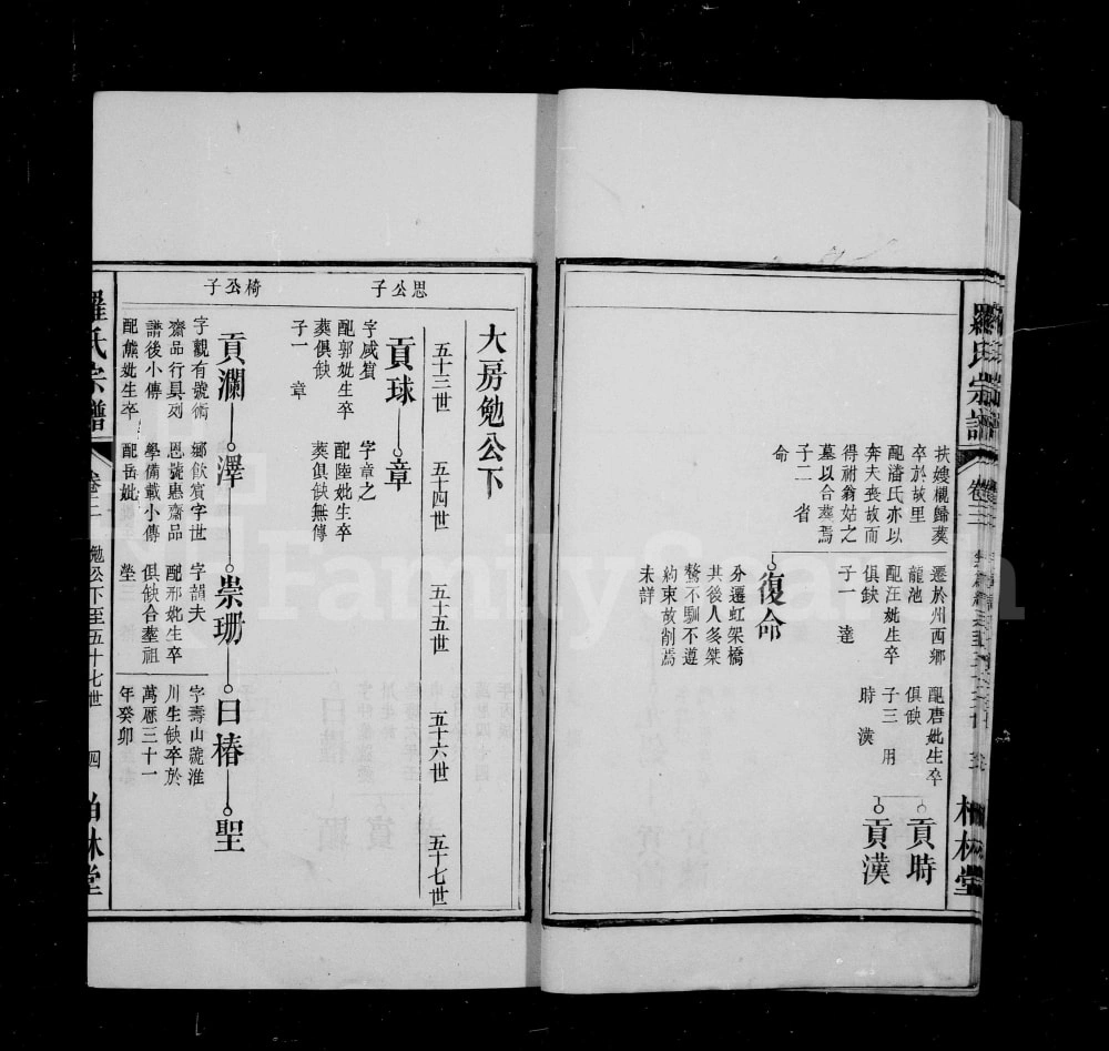 图片[8]-安徽无为罗氏四修宗谱（柏林堂）电子版PDF下载-中华家谱网