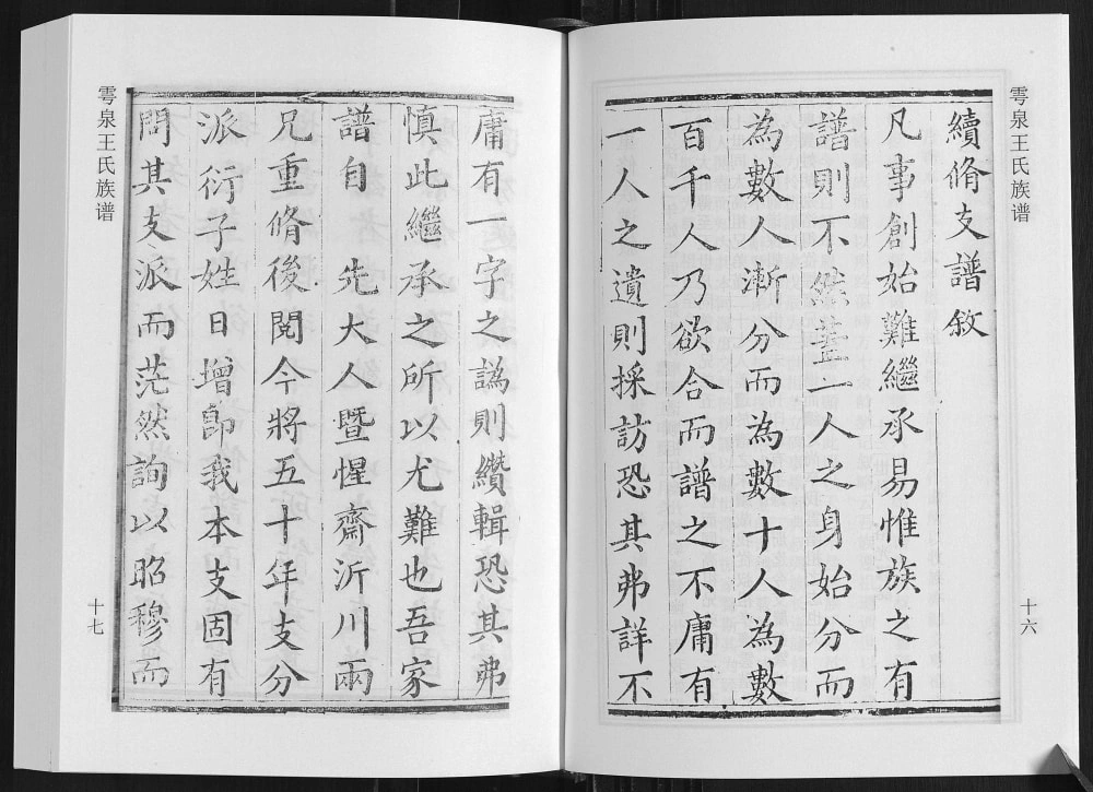 图片[2]-山东诸城雩泉王氏族谱电子版PDF下载-中华家谱网