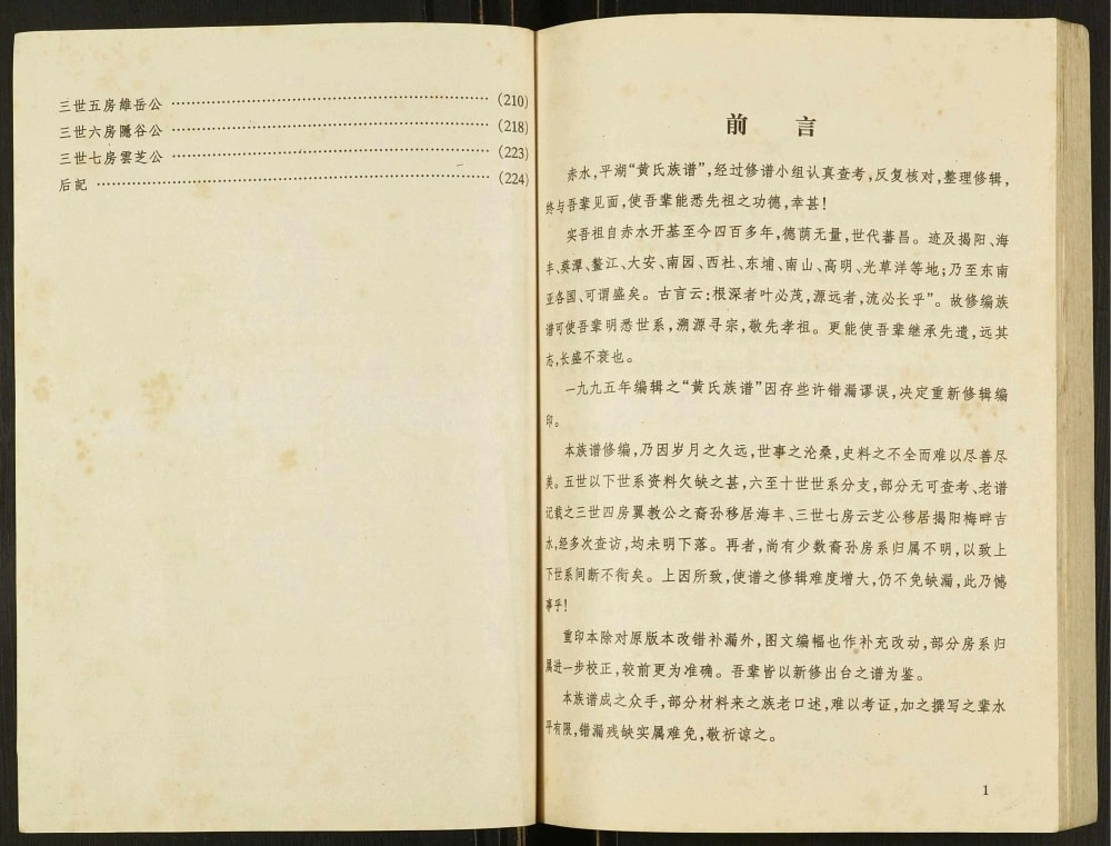 图片[2]-广东普宁赤水平湖乡黄氏族谱电子版PDF下载-中华家谱网