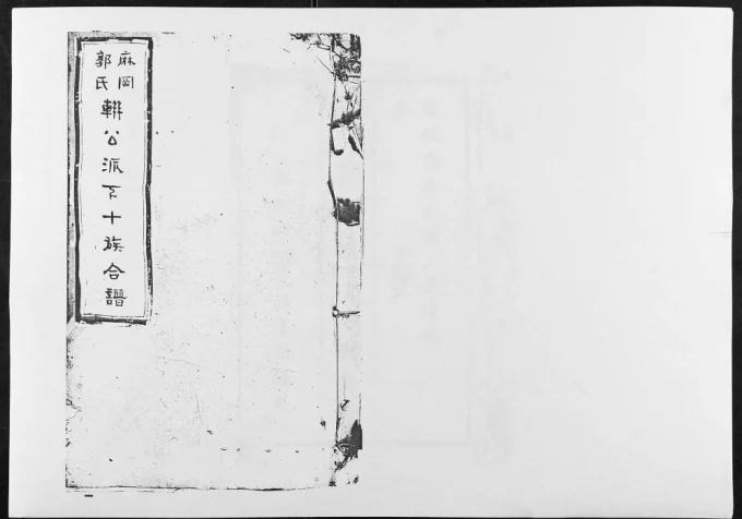 江西吉安麻冈郭氏軿公派下十族合谱电子版PDF下载-中华家谱网