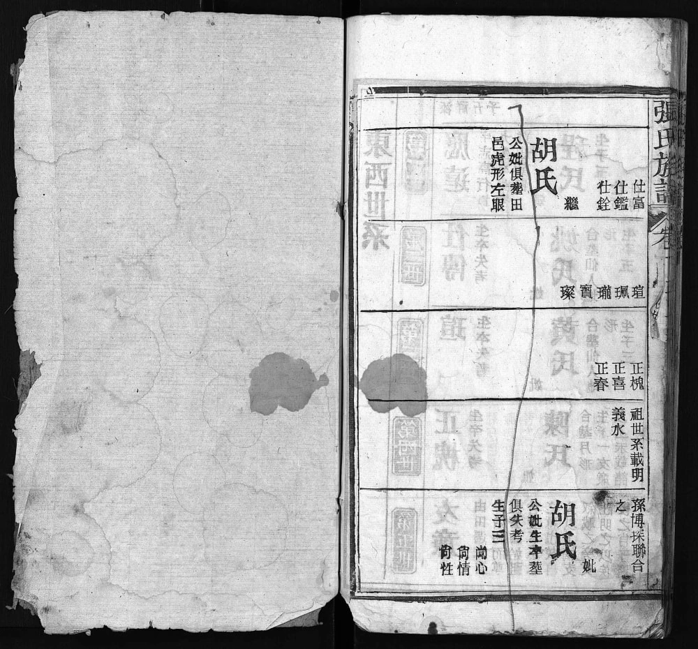 图片[8]-湖北黄冈红安张氏族谱电子版PDF下载-中华家谱网