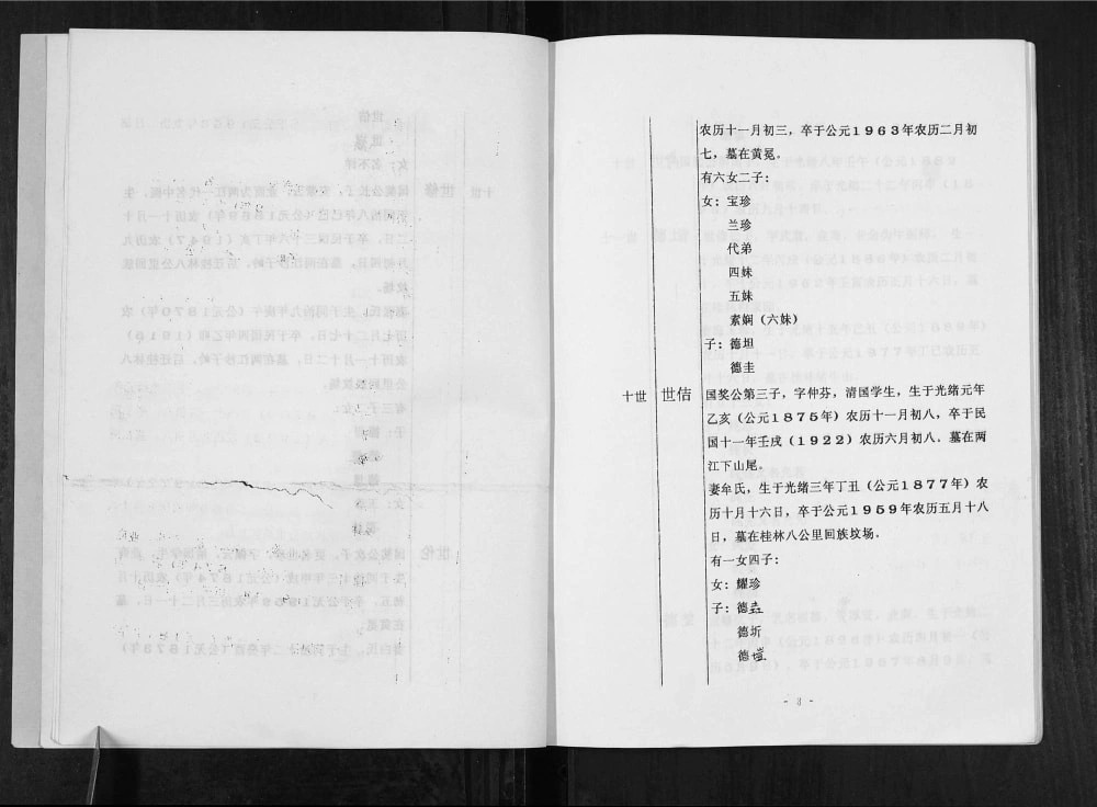图片[6]-广西桂林池头马氏两江分支族谱电子版PDF下载-中华家谱网