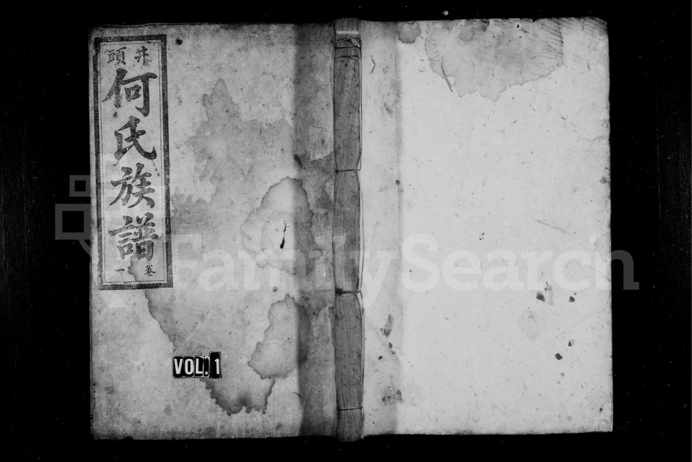 图片[1]-湖南资兴井头何氏族谱电子版PDF下载-中华家谱网