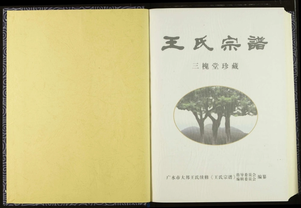 图片[2]-湖北广水王氏宗谱（三槐堂）电子版PDF下载-中华家谱网