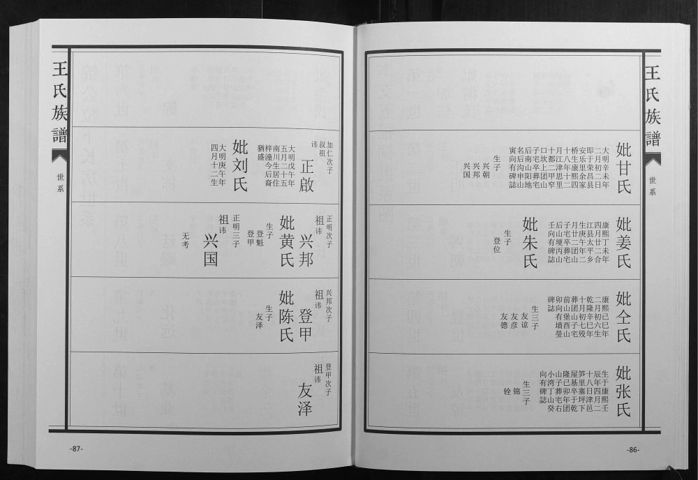 图片[7]-重庆江津汉鼓山王氏族谱电子版PDF下载-中华家谱网