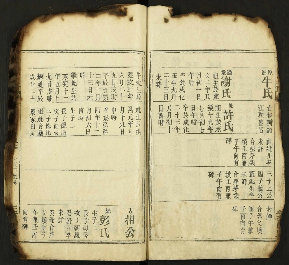 图片[7]-湖北武汉新洲区朱氏家乘（紫阳堂）电子版PDF下载-中华家谱网