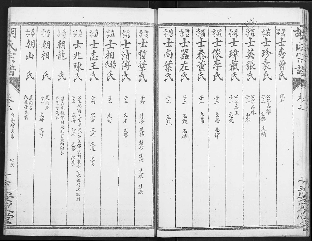 图片[8]-湖北孝感云梦胡氏宗谱（安定堂）电子版PDF下载-中华家谱网