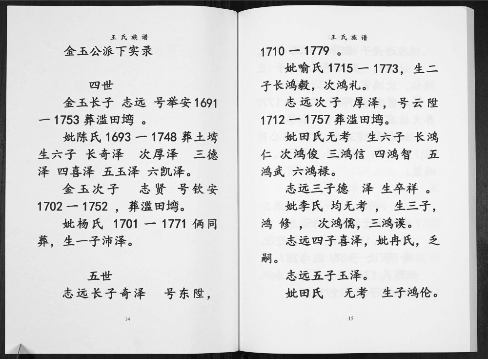 图片[6]-重庆渝北区王氏族谱电子版PDF下载-中华家谱网