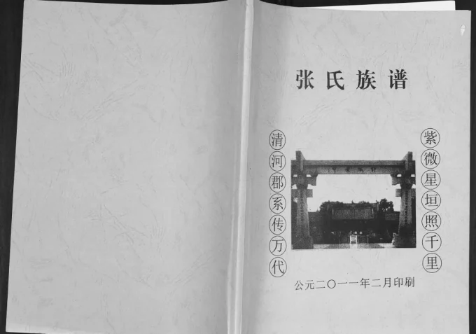 海南陵水张氏陵邑英州村和大坡村支谱电子版PDF下载-中华家谱网