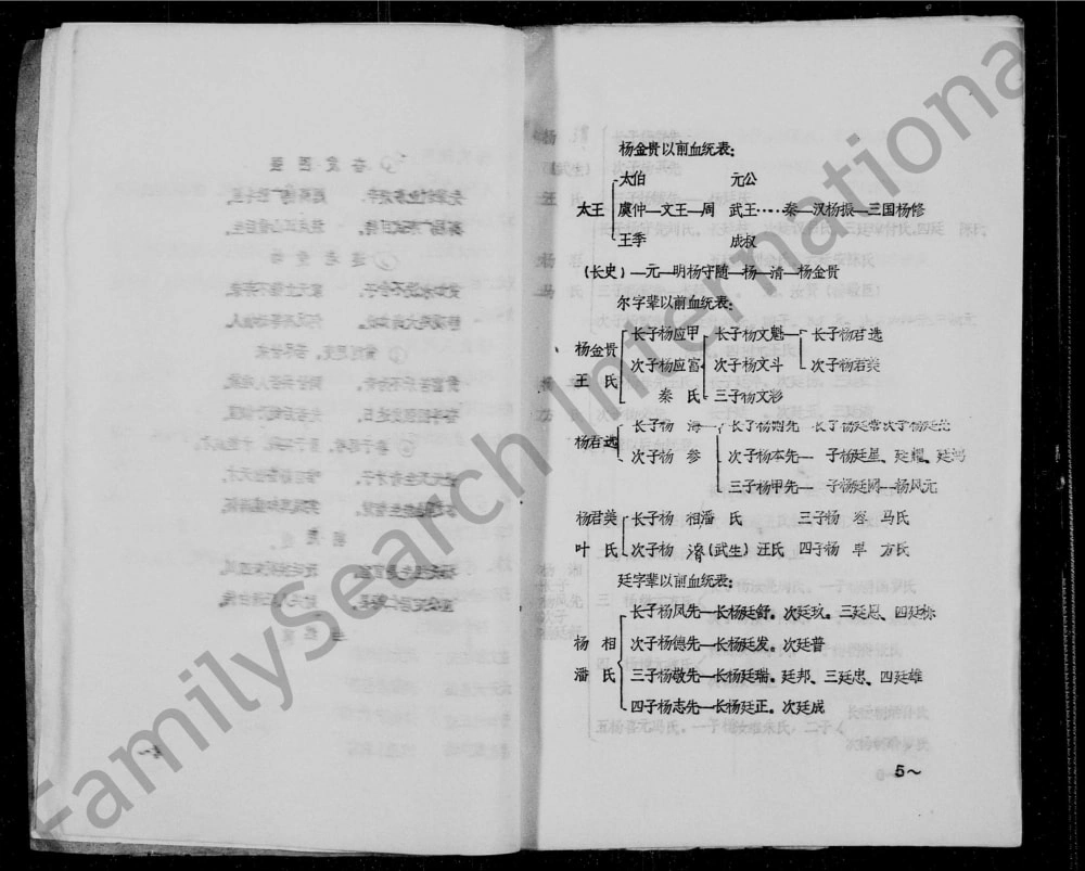 图片[4]-四川资阳杨氏家谱电子版PDF下载-中华家谱网