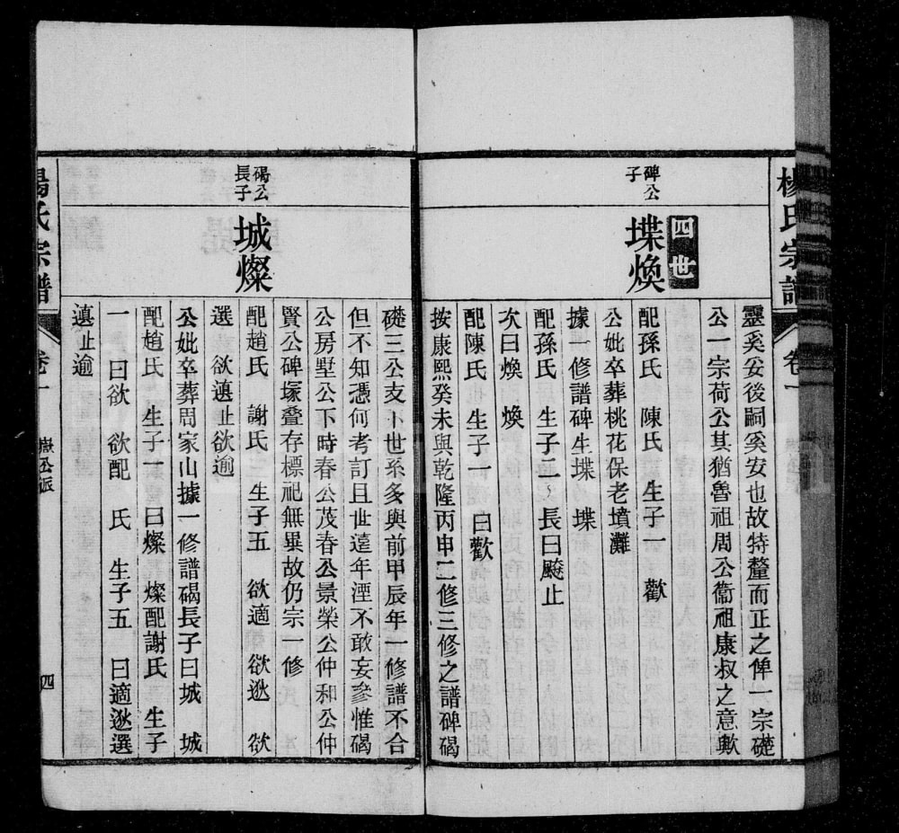 图片[8]-安徽桐城杨氏宗谱电子版PDF下载-中华家谱网