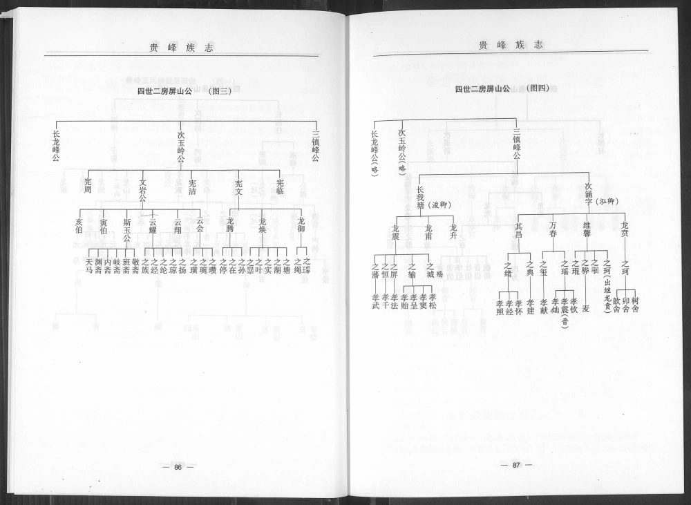 图片[5]-福建南安贵峰王氏族志电子版PDF下载-中华家谱网