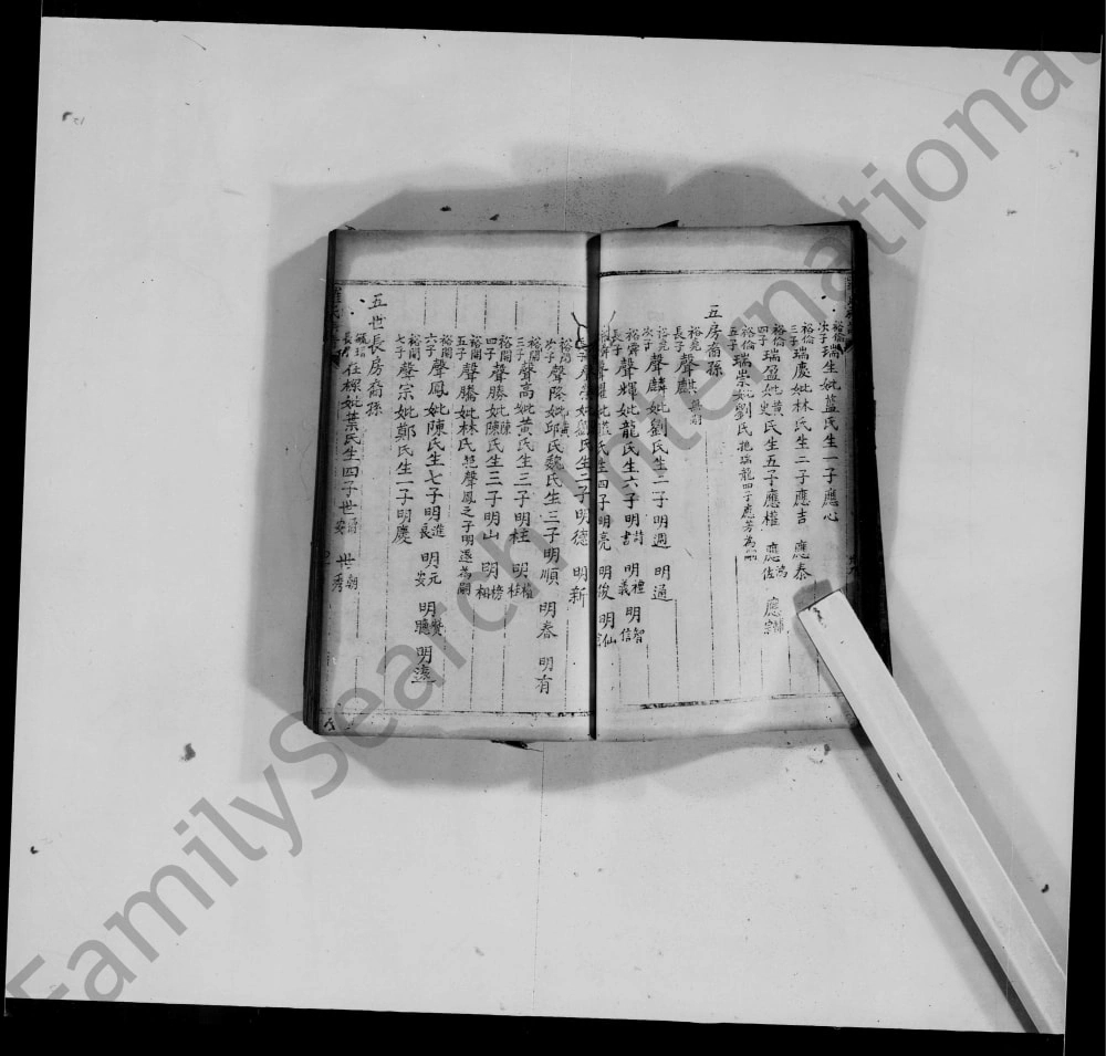 图片[7]-重庆荣昌罗氏族谱电子版PDF下载-中华家谱网