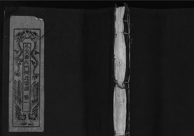 浙江乐清小芙蓉何氏宗谱电子版PDF下载-中华家谱网