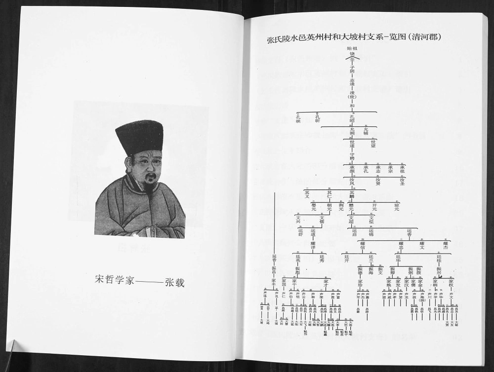 图片[3]-海南陵水张氏陵邑英州村和大坡村支谱电子版PDF下载-中华家谱网