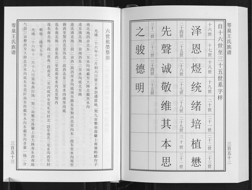 图片[3]-山东诸城雩泉王氏族谱电子版PDF下载-中华家谱网