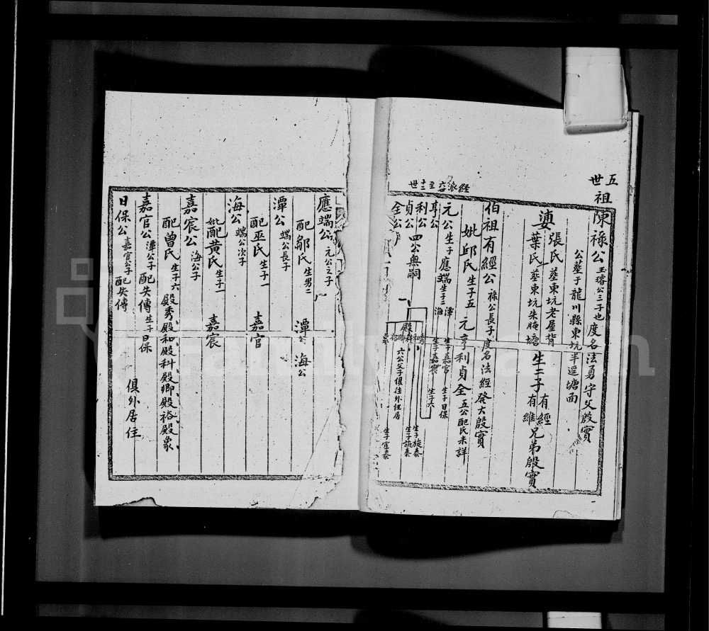 图片[5]-香港鹿颈村陈氏族谱电子版PDF下载-中华家谱网