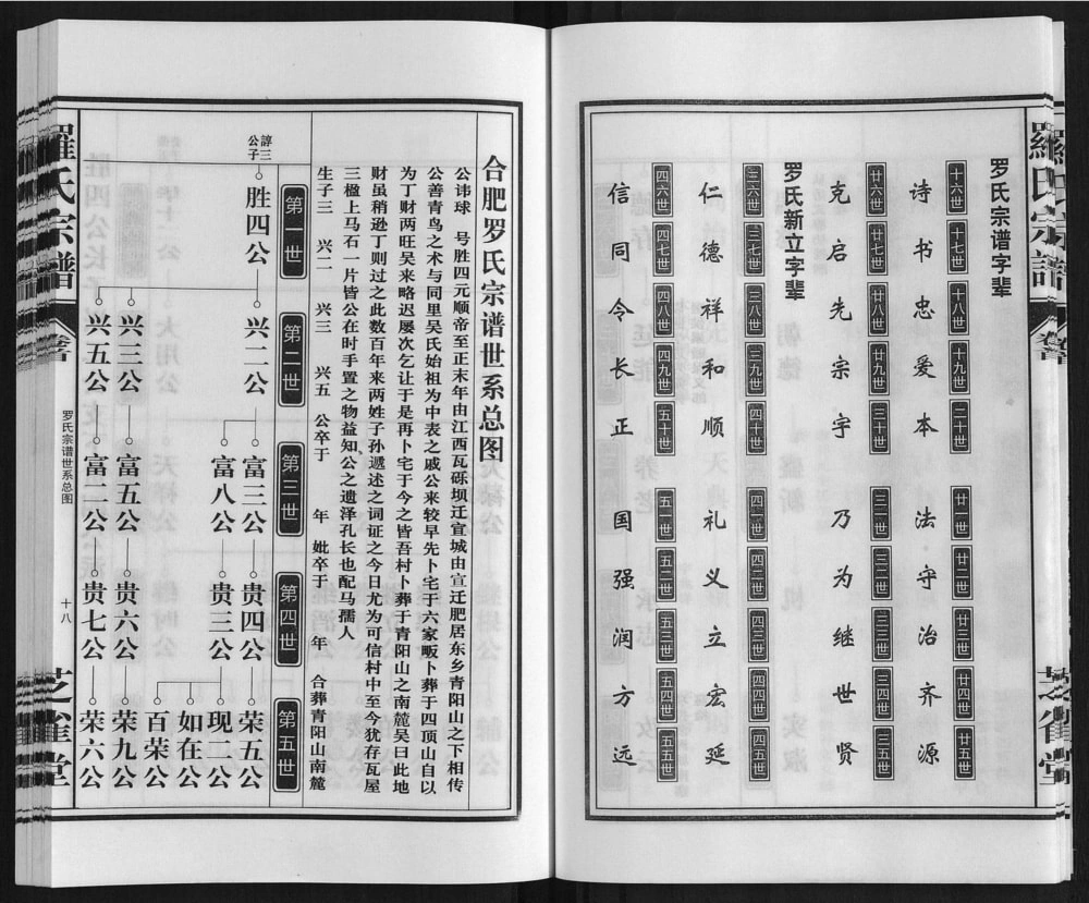 图片[3]-安徽合肥东乡罗氏宗谱（芝雀堂）电子版PDF下载-中华家谱网