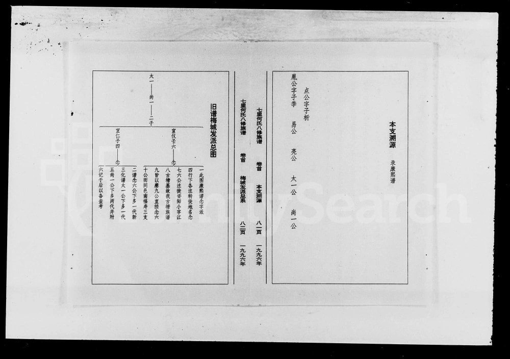 图片[3]-湖南益阳七里何氏八修族谱电子版PDF下载-中华家谱网